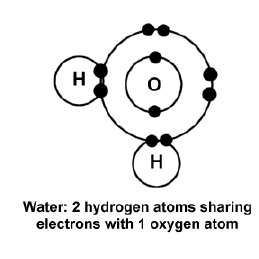 مولکول آب